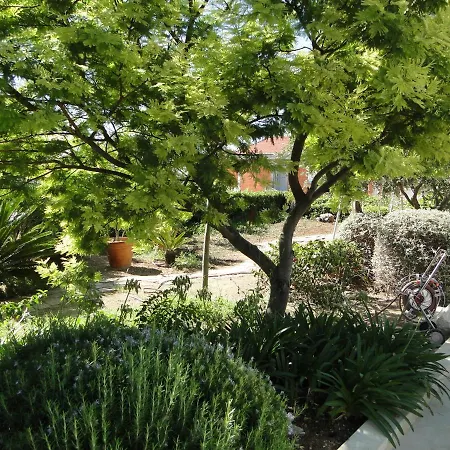 Marina Apartment Zecevo